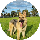 Samantha De La Mare profile picture